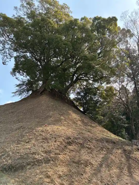 楠木神社(茨城県)