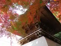 大正寺の山門