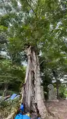 森本神社(兵庫県)