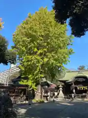 菊田神社の自然