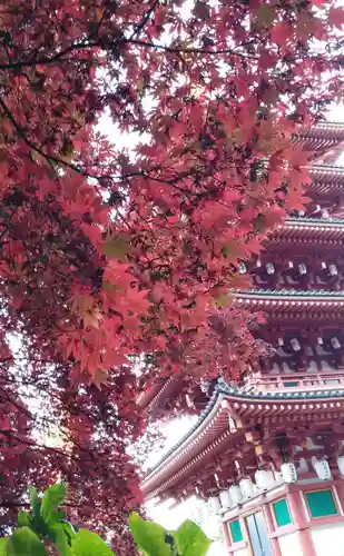 高幡不動尊　金剛寺のその他建物