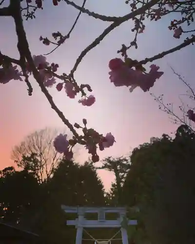 滑川神社 - 仕事と子どもの守り神の景色