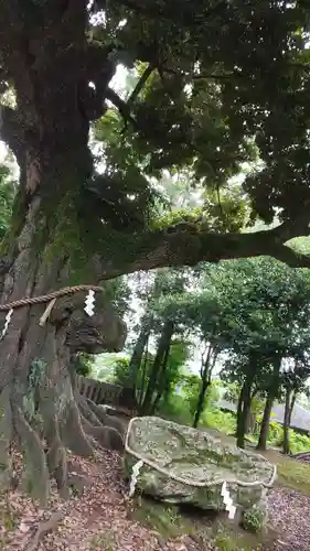 新日吉神宮のその他建物