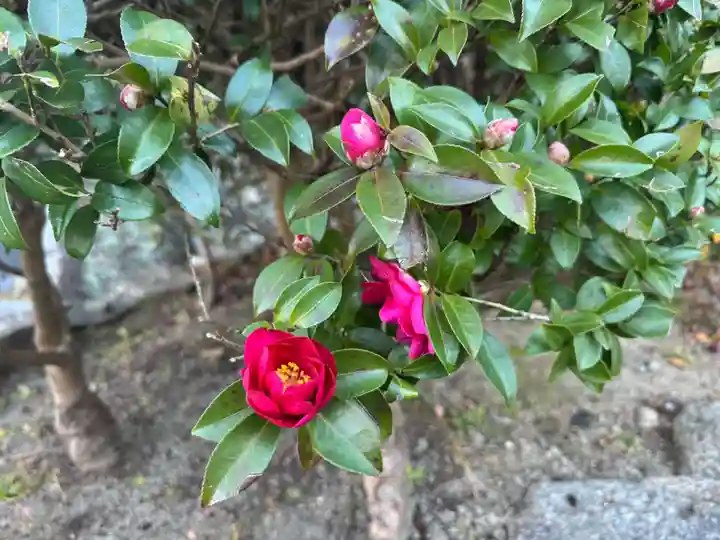 伊勢の国 四天王寺(三重県)
