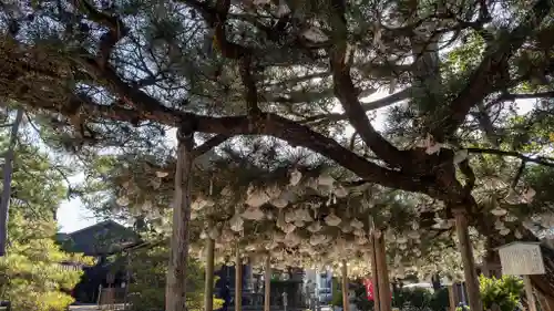 智恩寺(京都府)