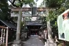 赤坂氷川神社の鳥居