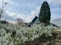 武蔵野坐令和神社の自然