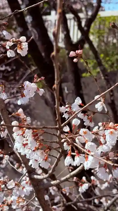 成田山名古屋別院大聖寺(犬山成田山)の{uncategorized: "未分類", other: "その他", undefined: "問題あり", building: "その他建物", grave: "お墓", sacred_gate: "鳥居", guardian: "狛犬", statue: "像", buddha: "仏像", history: "歴史", nature: "自然", garden: "庭園", animal: "動物", pagoda: "塔", temizu: "手水舎", mountain_gate: "山門・神門", sanctuary: "本殿・本堂", subordinate: "末社・摂社", art: "芸術", scenery: "景色", jizo: "地蔵", ema: "絵馬", goshuin: "御朱印", omikuji: "おみくじ", items: "授与品その他", amulet: "お守り", goshuincho: "御朱印帳", eats: "食事", festival: "お祭り", votive_dance: "神楽", shichigosan: "七五三参", wedding: "結婚式", experience: "体験その他", initially: "初詣", around: "周辺", anti_infection: "感染症対策"}