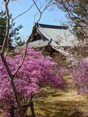 仁和寺(京都府)