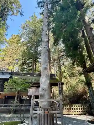 諏訪大社下社春宮の{uncategorized: "未分類", other: "その他", undefined: "問題あり", building: "その他建物", grave: "お墓", sacred_gate: "鳥居", guardian: "狛犬", statue: "像", buddha: "仏像", history: "歴史", nature: "自然", garden: "庭園", animal: "動物", pagoda: "塔", temizu: "手水舎", mountain_gate: "山門・神門", sanctuary: "本殿・本堂", subordinate: "末社・摂社", art: "芸術", scenery: "景色", jizo: "地蔵", ema: "絵馬", goshuin: "御朱印", omikuji: "おみくじ", items: "授与品その他", amulet: "お守り", goshuincho: "御朱印帳", eats: "食事", festival: "お祭り", votive_dance: "神楽", shichigosan: "七五三参", wedding: "結婚式", experience: "体験その他", initially: "初詣", around: "周辺", anti_infection: "感染症対策"}