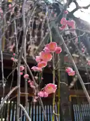 湯島天満宮(東京都)