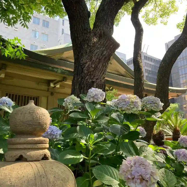 坐摩神社の自然
