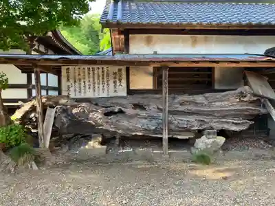 専修寺(栃木県)