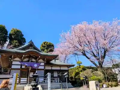 密藏院の{uncategorized: "未分類", other: "その他", undefined: "問題あり", building: "その他建物", grave: "お墓", sacred_gate: "鳥居", guardian: "狛犬", statue: "像", buddha: "仏像", history: "歴史", nature: "自然", garden: "庭園", animal: "動物", pagoda: "塔", temizu: "手水舎", mountain_gate: "山門・神門", sanctuary: "本殿・本堂", subordinate: "末社・摂社", art: "芸術", scenery: "景色", jizo: "地蔵", ema: "絵馬", goshuin: "御朱印", omikuji: "おみくじ", items: "授与品その他", amulet: "お守り", goshuincho: "御朱印帳", eats: "食事", festival: "お祭り", votive_dance: "神楽", shichigosan: "七五三参", wedding: "結婚式", experience: "体験その他", initially: "初詣", around: "周辺", anti_infection: "感染症対策"}