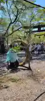 天鷹神社のその他建物