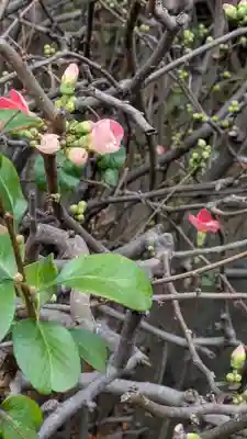 乗念寺(滋賀県)