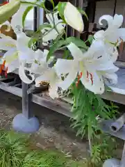 秋葉神社(岩手県)