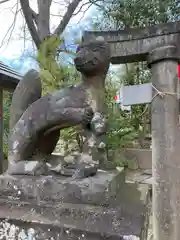 安積國造神社の狛犬