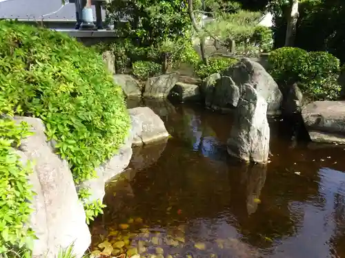 観音寺の庭園