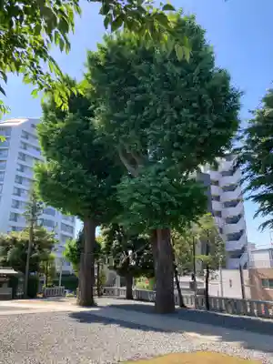 代田八幡神社(東京都)