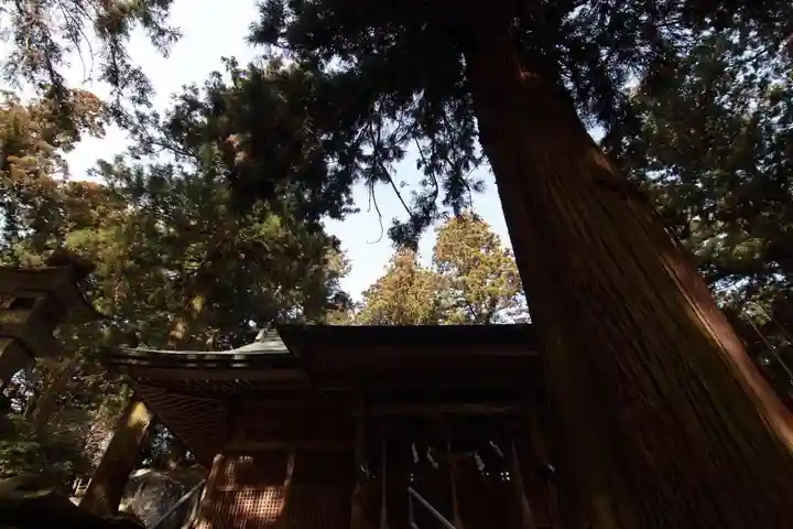 鹿島大神宮の自然