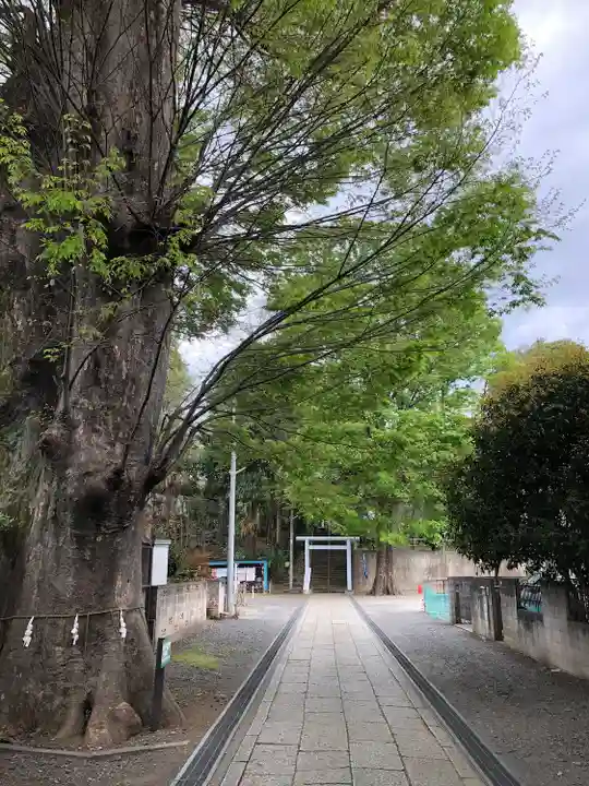 所澤神明社のその他建物