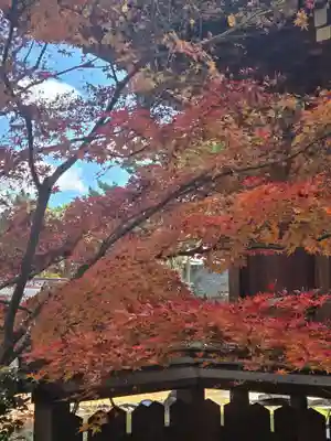 北野天満宮(京都府)
