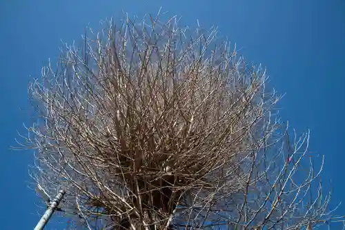 日吉八王子神社(東京都)