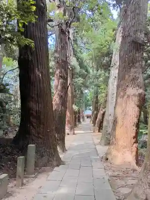 日吉神社の{uncategorized: "未分類", other: "その他", undefined: "問題あり", building: "その他建物", grave: "お墓", sacred_gate: "鳥居", guardian: "狛犬", statue: "像", buddha: "仏像", history: "歴史", nature: "自然", garden: "庭園", animal: "動物", pagoda: "塔", temizu: "手水舎", mountain_gate: "山門・神門", sanctuary: "本殿・本堂", subordinate: "末社・摂社", art: "芸術", scenery: "景色", jizo: "地蔵", ema: "絵馬", goshuin: "御朱印", omikuji: "おみくじ", items: "授与品その他", amulet: "お守り", goshuincho: "御朱印帳", eats: "食事", festival: "お祭り", votive_dance: "神楽", shichigosan: "七五三参", wedding: "結婚式", experience: "体験その他", initially: "初詣", around: "周辺", anti_infection: "感染症対策"}