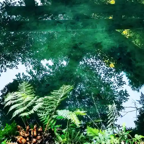 鹿島神宮の庭園