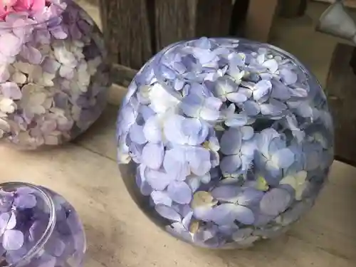 般若寺 ❁﻿コスモス寺❁(奈良県)