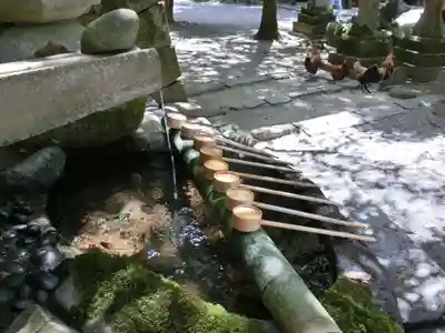 石上神宮の手水舎