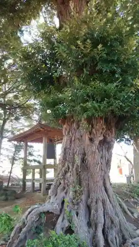 護國院(厄除不動尊)の建物その他