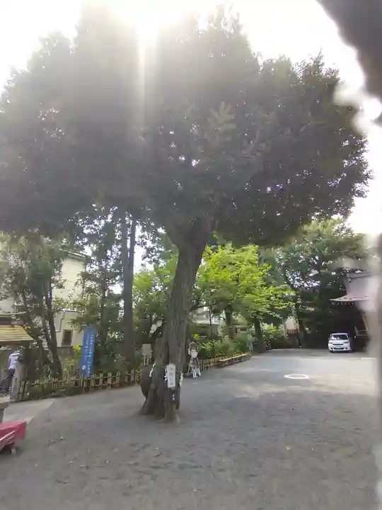 七社神社(東京都)