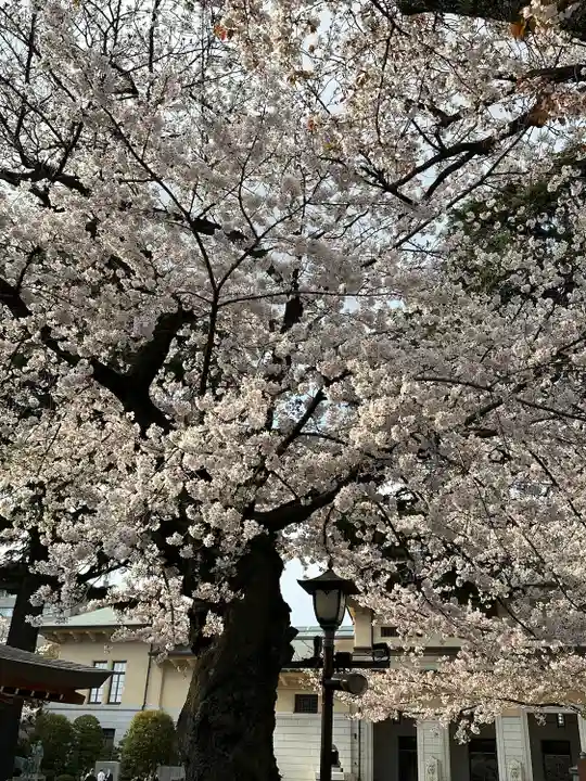 靖國神社(東京都)