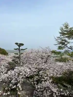 石鎚神社 口之宮 本社(愛媛県)