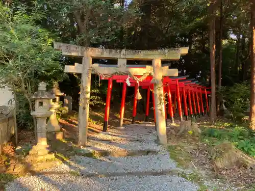 伊射奈岐神社の鳥居