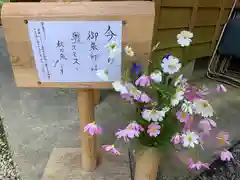 須山浅間神社の建物その他