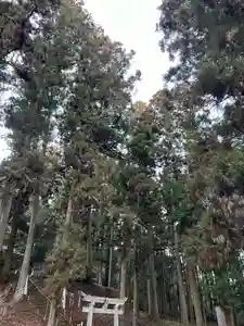 大宮温泉神社(栃木県)(2024年02月05日(月) 08時13分41秒投稿)