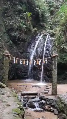 勝光寺の{uncategorized: "未分類", other: "その他", undefined: "問題あり", building: "その他建物", grave: "お墓", sacred_gate: "鳥居", guardian: "狛犬", statue: "像", buddha: "仏像", history: "歴史", nature: "自然", garden: "庭園", animal: "動物", pagoda: "塔", temizu: "手水舎", mountain_gate: "山門・神門", sanctuary: "本殿・本堂", subordinate: "末社・摂社", art: "芸術", scenery: "景色", jizo: "地蔵", ema: "絵馬", goshuin: "御朱印", omikuji: "おみくじ", items: "授与品その他", amulet: "お守り", goshuincho: "御朱印帳", eats: "食事", festival: "お祭り", votive_dance: "神楽", shichigosan: "七五三参", wedding: "結婚式", experience: "体験その他", initially: "初詣", around: "周辺", anti_infection: "感染症対策"}