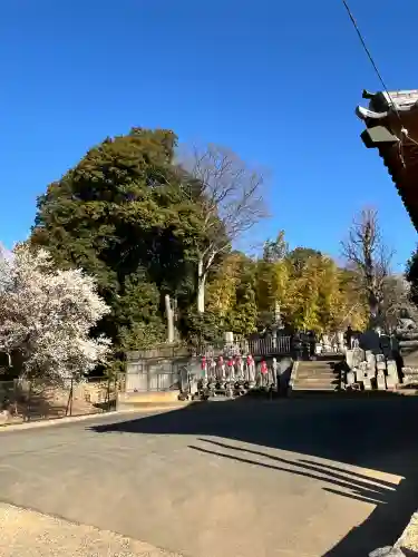 慈恩寺の{uncategorized: "未分類", other: "その他", undefined: "問題あり", building: "その他建物", grave: "お墓", sacred_gate: "鳥居", guardian: "狛犬", statue: "像", buddha: "仏像", history: "歴史", nature: "自然", garden: "庭園", animal: "動物", pagoda: "塔", temizu: "手水舎", mountain_gate: "山門・神門", sanctuary: "本殿・本堂", subordinate: "末社・摂社", art: "芸術", scenery: "景色", jizo: "地蔵", ema: "絵馬", goshuin: "御朱印", omikuji: "おみくじ", items: "授与品その他", amulet: "お守り", goshuincho: "御朱印帳", eats: "食事", festival: "お祭り", votive_dance: "神楽", shichigosan: "七五三参", wedding: "結婚式", experience: "体験その他", initially: "初詣", around: "周辺", anti_infection: "感染症対策"}