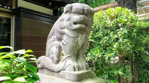 新倉氷川八幡神社の狛犬