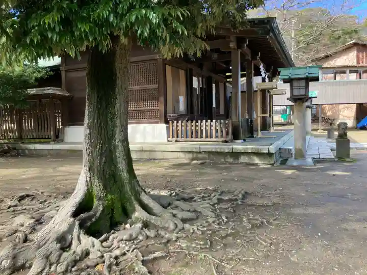 春日神社の{uncategorized: "未分類", other: "その他", undefined: "問題あり", building: "その他建物", grave: "お墓", sacred_gate: "鳥居", guardian: "狛犬", statue: "像", buddha: "仏像", history: "歴史", nature: "自然", garden: "庭園", animal: "動物", pagoda: "塔", temizu: "手水舎", mountain_gate: "山門・神門", sanctuary: "本殿・本堂", subordinate: "末社・摂社", art: "芸術", scenery: "景色", jizo: "地蔵", ema: "絵馬", goshuin: "御朱印", omikuji: "おみくじ", items: "授与品その他", amulet: "お守り", goshuincho: "御朱印帳", eats: "食事", festival: "お祭り", votive_dance: "神楽", shichigosan: "七五三参", wedding: "結婚式", experience: "体験その他", initially: "初詣", around: "周辺", anti_infection: "感染症対策"}