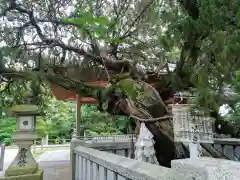 高砂神社の自然