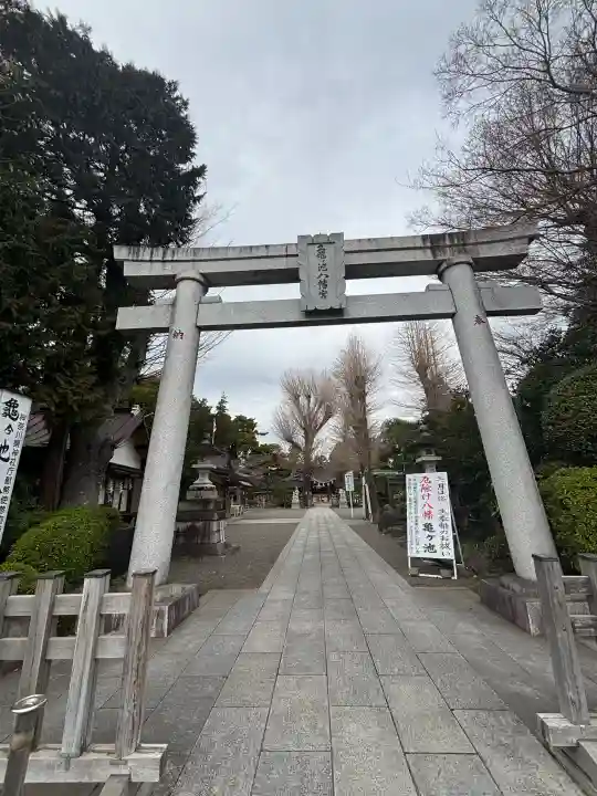 亀ケ池八幡宮の{uncategorized: "未分類", other: "その他", undefined: "問題あり", building: "その他建物", grave: "お墓", sacred_gate: "鳥居", guardian: "狛犬", statue: "像", buddha: "仏像", history: "歴史", nature: "自然", garden: "庭園", animal: "動物", pagoda: "塔", temizu: "手水舎", mountain_gate: "山門・神門", sanctuary: "本殿・本堂", subordinate: "末社・摂社", art: "芸術", scenery: "景色", jizo: "地蔵", ema: "絵馬", goshuin: "御朱印", omikuji: "おみくじ", items: "授与品その他", amulet: "お守り", goshuincho: "御朱印帳", eats: "食事", festival: "お祭り", votive_dance: "神楽", shichigosan: "七五三参", wedding: "結婚式", experience: "体験その他", initially: "初詣", around: "周辺", anti_infection: "感染症対策"}