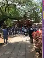 居木神社のお祭り