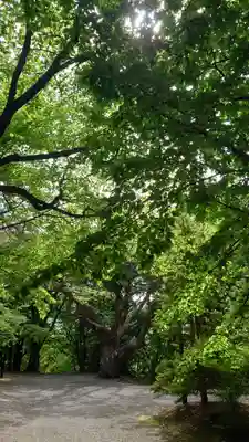 相馬神社(北海道)