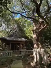 天降神社(福岡県)