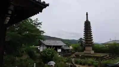般若寺 ❁﻿コスモス寺❁(奈良県)