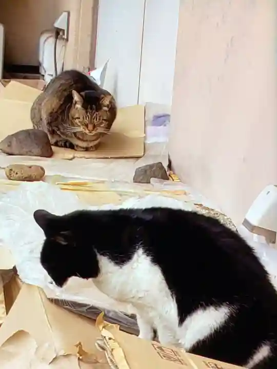 白金氷川神社(東京都)